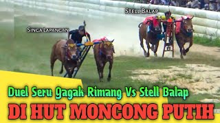 Duel Para Juara SINGA LAPANGAN (GAGAK RIMANG VS STELL BALAP Hut Moncong Putih Babak 1