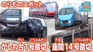 【のりものスポット】かしわ台1号踏切（相模鉄道）・座間14号踏切（小田急電鉄）