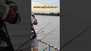 ตกปลาแม่น้ำเจ้าพระยา❗#fishing #ตกปลา #fishingvideo #fishingvideos #ตกปลาหน้าดิน