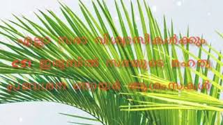 Palm Sunday ( Kuruthola Perunnal )