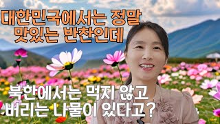 대한민국에서는 정말 맛있는 반찬인데 북한에서는 안먹고 버리는 나물 4가지