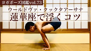 【難関アームバランス】ウールドヴァ・クックタアーサナのコツ ヨガポーズ図鑑vol.73