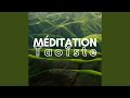 Musique Zen Relaxation