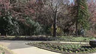 冬のわんぱく公園 in 栃木