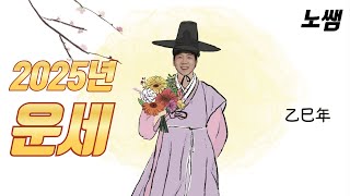 2025년 을사년 신년 운세 (모두 잘 되시길 바랍니다😄)