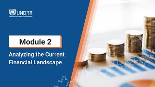 Module 2: Analyzing the Current Financial Landscape | UNDRR