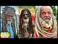 KNOT Reacting to Rastaman Freeform Dreadlocks