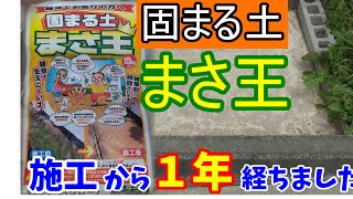 【1年後はどうなった？】固まる土「まさ王」を施工して1年経ったので経過報告します　固まる砂での雑草対策も報告します