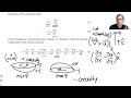 understanding rossby waves and qgpv in a stratified atmosphere atmospheric dynamics explained