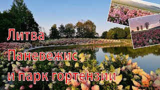 Литва: Паневежис и парк гортензии / VLOG Русская девушка, живущая во Вьетнаме!