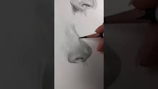 Desenho a lápis , desenhando nariz realista