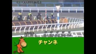 【産経大阪杯追い切り調教】 キタサンブラック「阪神二千合う」 「競馬レース結果ハイライト」2016年