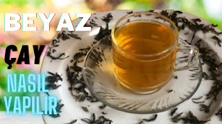 Beyaz Çay Nasıl Demlenir – Beyaz Çay Faydaları Nelerdir