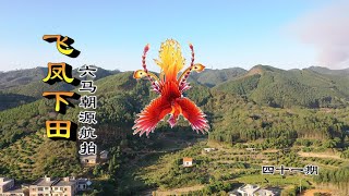 堪舆【风水】布局，龙穴阴宅墓地，阳宅风水教学， 六马朝源航拍广西陈氏祖茔飞凤下田