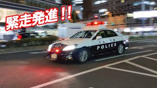 パトカーの目の前で信号無視したベンツステーションワゴンが､なが～いフットサイレンで検挙される瞬間！