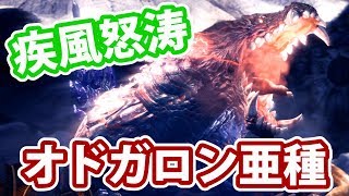 【MHWI実況】#14 疾風怒涛の攻撃！オドガロン亜種に勝て！【アイスボーン】