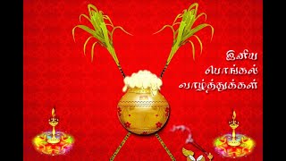 பொங்கல் நல்வாழ்த்துகள் | Happy Pongal