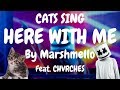 Cats Sing Here with Me feat. CHVRCHES by Marshmello | Cats Singing Song