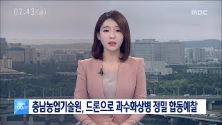 [대전MBC뉴스]충남농업기술원, 드론으로 과수화상병 정밀 합동예찰