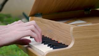 Yann Tiersen - La Valse d'Amélie (Toy Piano)