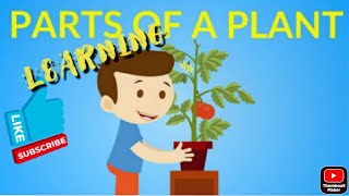 LEARNING ABOUT PARTS OF PLANTS