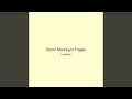 Storm Moonlight Fragile