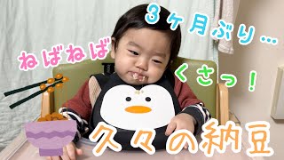 【生後10ヶ月】3ヶ月ぶりの納豆！成長したかな？【Vlog育児】 Baby ate natto for the first time in 3 months.