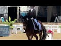 2025 HITS Del Mar Dressage Opener: Intro Test C