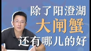 除了阳澄湖，大闸蟹还有哪儿的好？