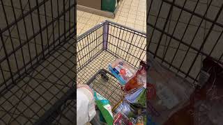 Shop with me at ALDI for the week! Weekly Aldi Grocery Haul family of 5