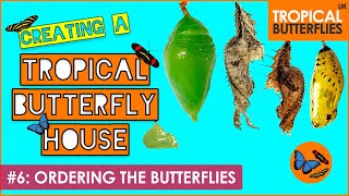 Ordering The Butterflies #6 - Creating a Tropical Butterfly House - Tropical Butterflies UK