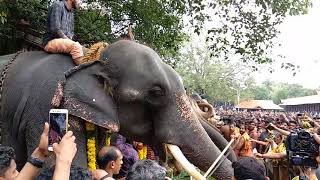 anayoottu  vadakkumnathan temple വടക്കുംനാഥൻ  ആനയൂട്ട്   2018 new