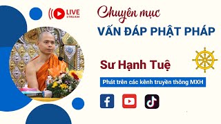 🔴 Vấn Đáp Phật Pháp SƯ HẠNH TUỆ - Ngày 10/01/2025