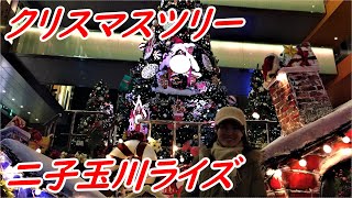 二子玉川ライズクリスマスツリー【絢爛】 #10