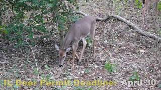 Illinois Permit Application Deadline Expires April 30th!
