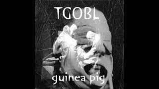 The Ghost Of Bela Lugosi  - Guinea Pig (coldwave,darkwave,synthwave)