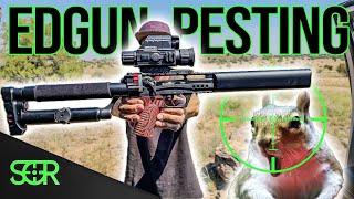 Drilling Ground Squirrels with EDgun Leshiy .25 and H\u0026N Slugs