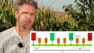 Programme RACINE – AGROFORESTERIE et GRANDES CULTURES – 2 agriculteurs témoignent