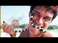 fact about most dangers snake পৃথিৱীৰ আটাইতকৈ ভয়ংকৰ পাঁচটা সাপ