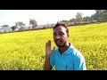 mustard farming ସୋରିଷ ଚାଷ vnr 502 509 sudhansu sahu odisha vlog agriculture indian farmer