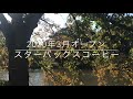 【新宿御苑 2020秋 〜黄葉、秋薔薇園、日本庭園、温室植物園、スターバックス〜　】１日過ごせる♪