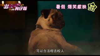 《出Show狗仔隊》8月16日  傻犬出沒注意  Show Dogs