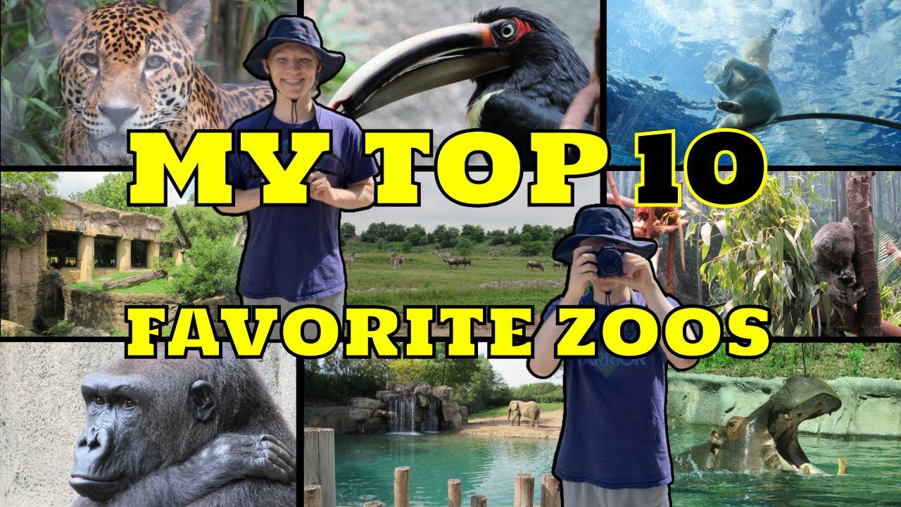 My Top 10 Favorite Zoos - YouTube