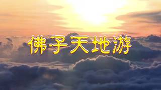 《佛子天地遊記》 第三册 18 07 19【遊心靈淨土】在心靈淨土學習白話佛法的場景