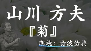 【朗読】【寝る前にも】菊/山川方夫_朗読：青波佑典_Japanese_voiceover