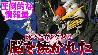 Ex-sガンダムを初めて見た時にその情報量に脳を焼かれた（ガンダムセンチネル）