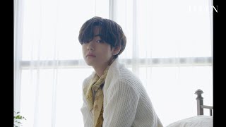 [Dicon 10th] 뷔!주얼을 찬양하라 (BTS)