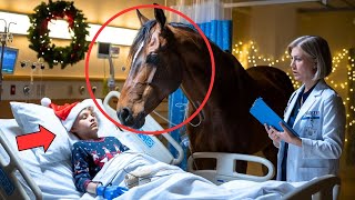 Doctors Were About to Euthanize the Boy When a Horse Made a Christmas Miracle Happen