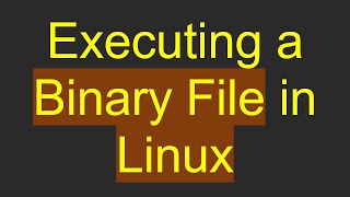 Executing a Binary File in Linux