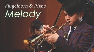 【生演奏＆インタビュー】フリューゲルホルン 茨木智博『Melody』【ダイジェスト】